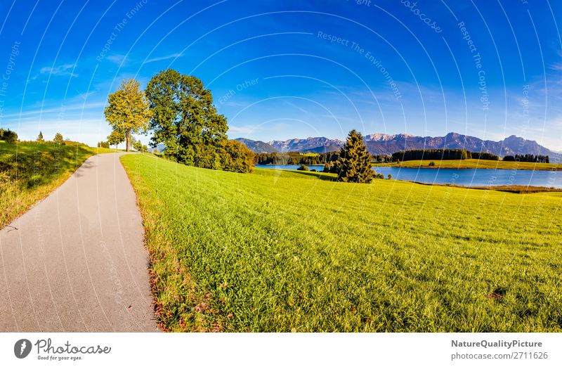 Beautiful wilderness in Bavaria beautiful scenic season travel wide mountains mountain range lakeside panorama place meadow scenery sky sun sunshine light view