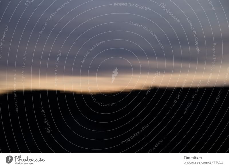 Moving evening atmosphere in the Black Forest Landscape Wings Evening Night sky Sky Clouds Evening sun Light naturally goldeen Blue motion blur Nature Twilight