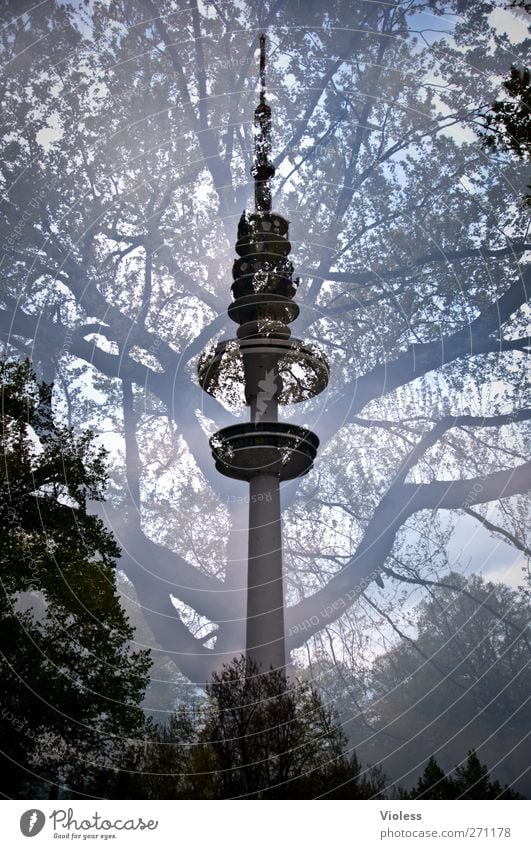 the hamburg tree Town Port City Tower Manmade structures Building Architecture Tall Television tower Hamburg Double exposure Colour photo Exterior shot