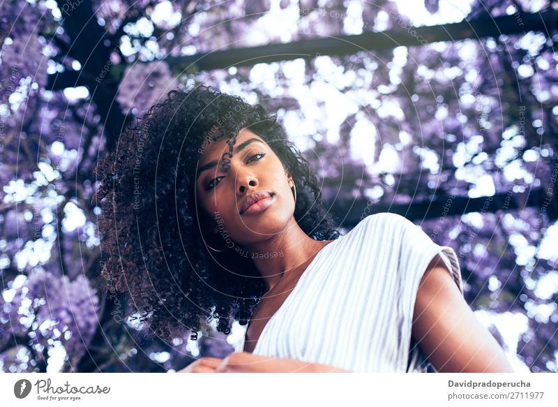 Young black woman surrounded by flowers Woman Blossom Spring Lilac Portrait photograph multiethnic Black African Mixed race ethnicity Smiling backlit from below