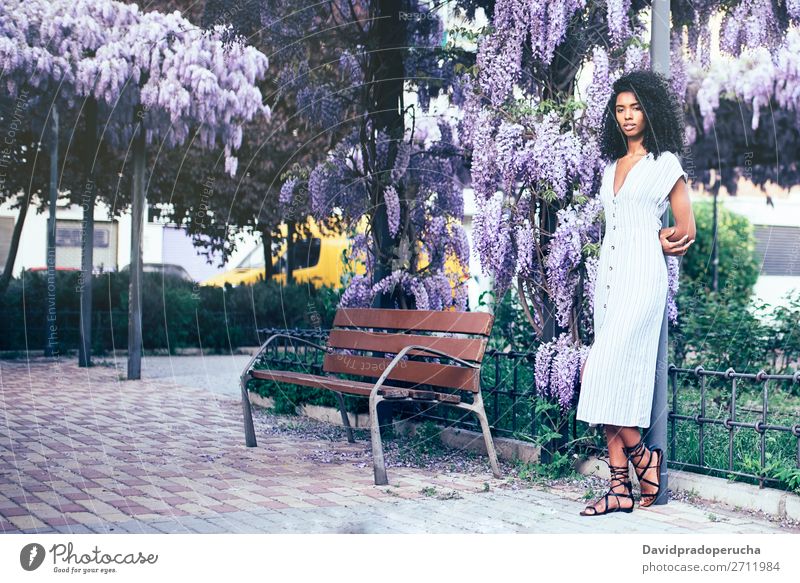 Young black woman surrounded by flowers Woman Blossom Spring Lilac multiethnic Black African Mixed race ethnicity Smiling looking at the camera back lit backlit