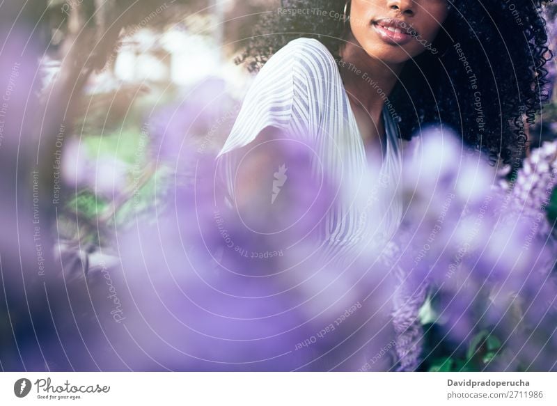 Young black woman sitting surrounded by flowers Woman Blossom Spring Lilac Portrait photograph multiethnic Black African Mixed race ethnicity Smiling