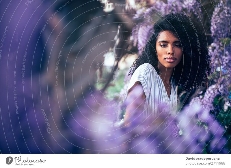 Thoughtful young black woman sitting surrounded by flowers Woman Blossom Spring Lilac Portrait photograph multiethnic Black African Mixed race ethnicity