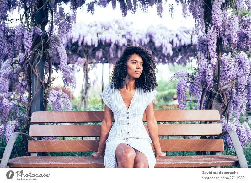 Young black woman sitting surrounded by flowers Woman Blossom Spring Lilac Portrait photograph multiethnic Black African Mixed race ethnicity Smiling