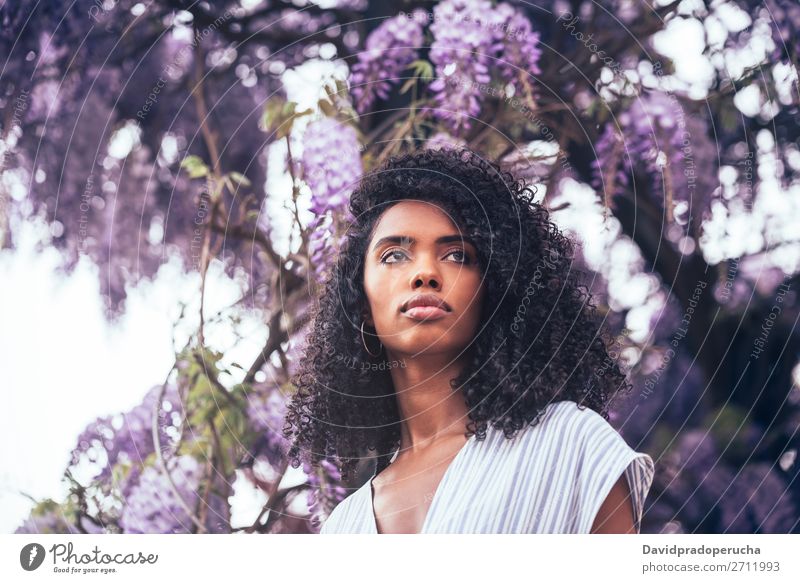 Thoughtful young black woman sitting surrounded by flowers Woman Blossom Spring Lilac Portrait photograph multiethnic Black African Mixed race ethnicity