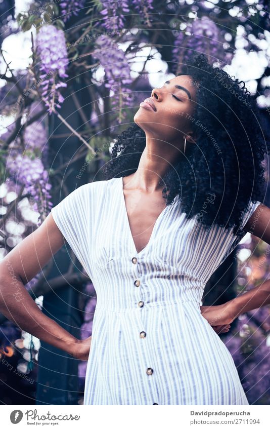 Thoughtful young black woman sitting surrounded by flowers Woman Blossom Spring Lilac Portrait photograph multiethnic Black African Mixed race ethnicity