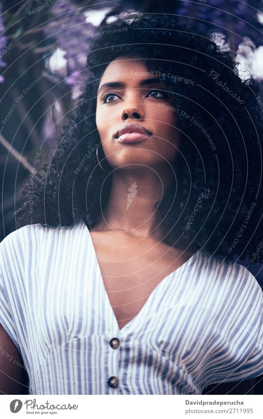 Happy young black woman sitting surrounded by flowers Woman Blossom Spring Lilac Close-up multiethnic Black African Mixed race ethnicity Looking away Vertical