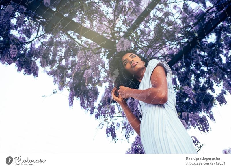 Young black woman surrounded by flowers Woman Blossom Spring Lilac Portrait photograph multiethnic Black African Mixed race ethnicity Smiling backlit from below