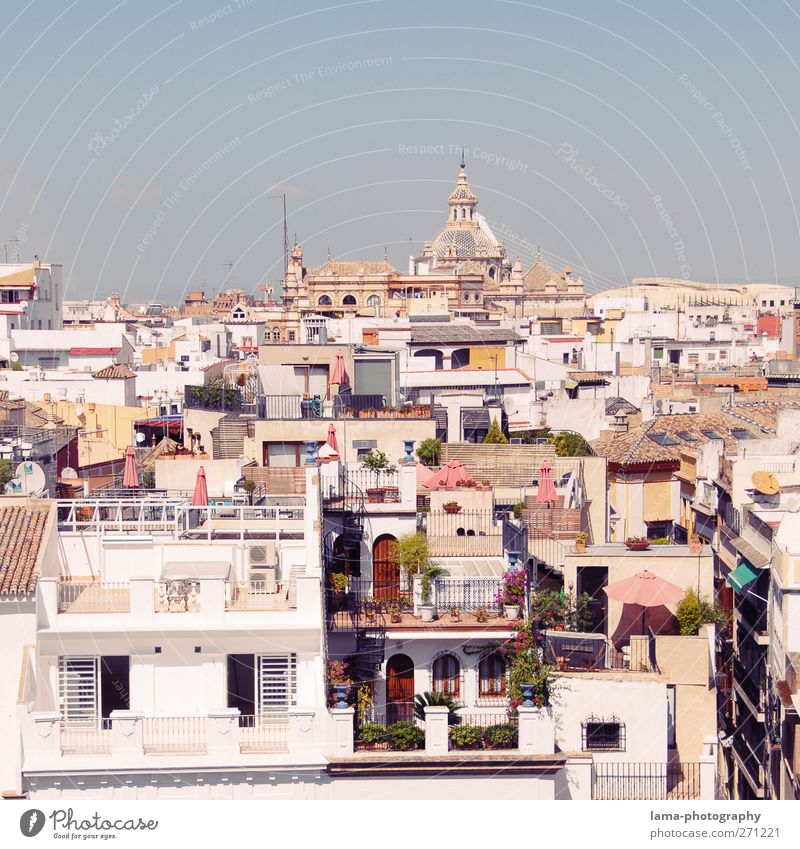 Seville [XLV] Andalucia Spain Town Capital city Downtown Old town Overpopulated House (Residential Structure) Building Architecture Balcony Terrace Roof White