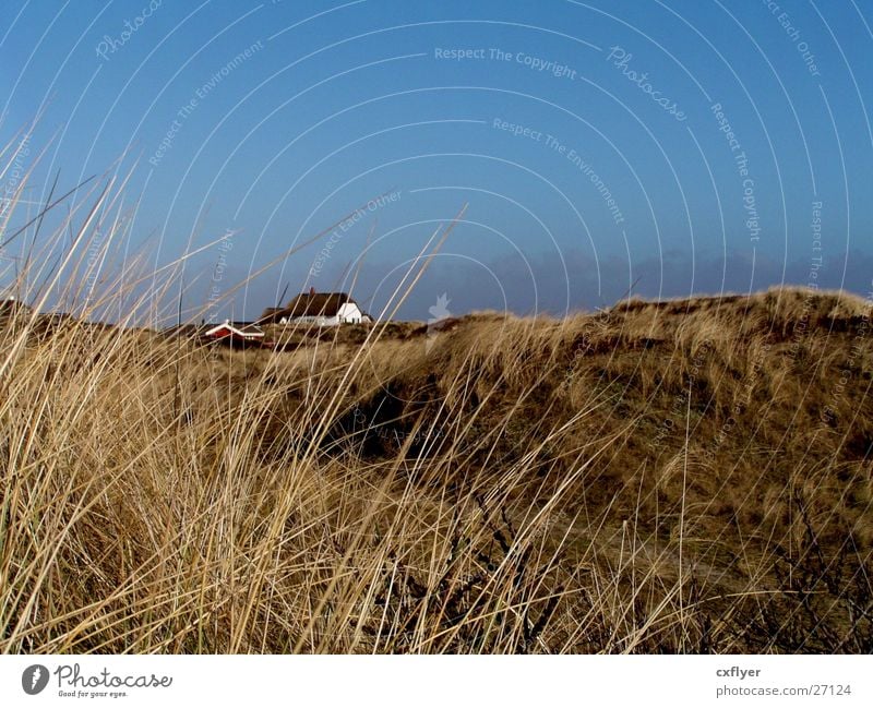 vast country Grass House (Residential Structure) Hill Loneliness Beach dune Sand