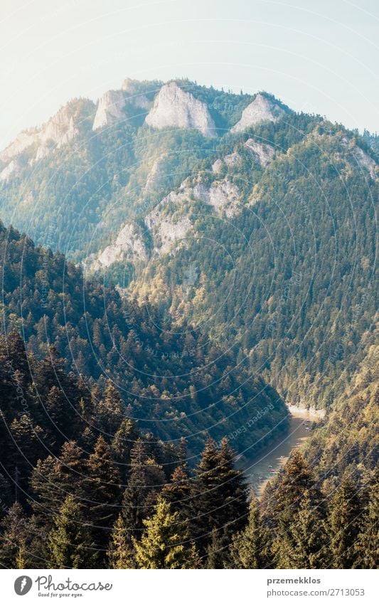 Mountain river valley landscape Vacation & Travel Tourism Summer Nature Landscape Sky Sunlight Tree Park Forest Hill Rock Peak River Authentic Natural Green