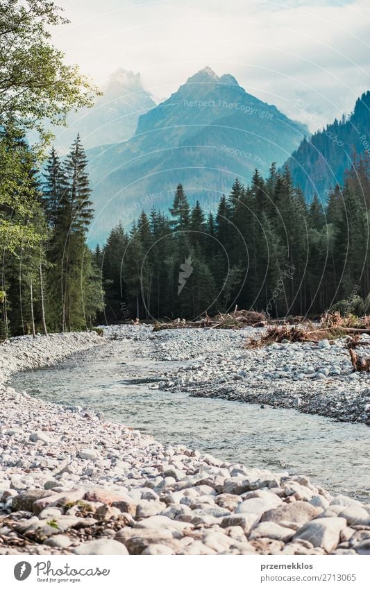 Mountain river valley landscape Beautiful Vacation & Travel Summer Environment Nature Landscape Water Sky Sunlight Beautiful weather Tree Park Forest Hill Rock