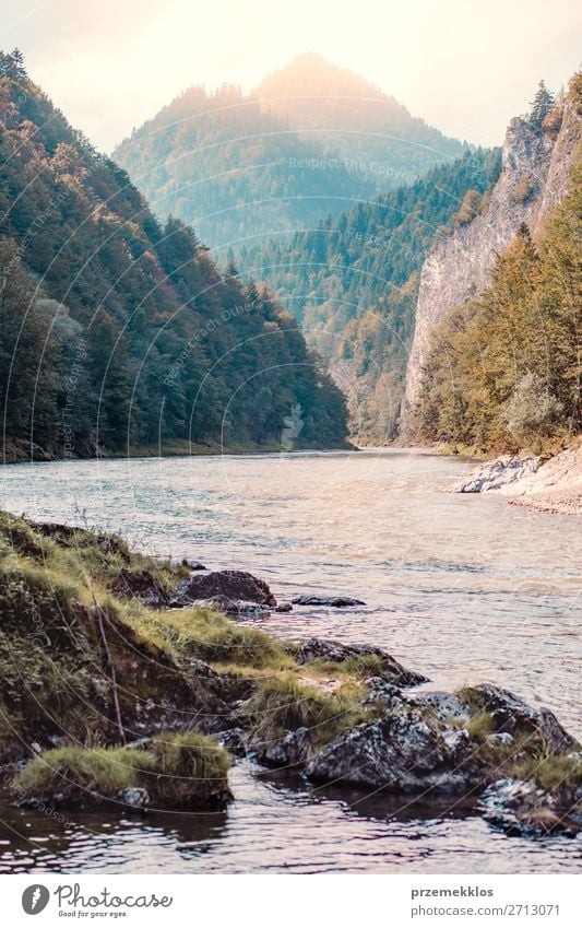 Mountain river valley landscape Beautiful Vacation & Travel Tourism Summer Nature Landscape Sky Tree Park Forest Hill Rock River Natural Green Dunajec Pieniny