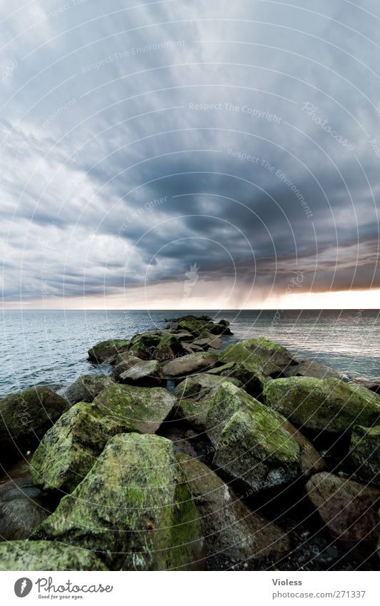 Hiddensee the rock.... Nature Landscape Sky Clouds Storm clouds Weather Coast Baltic Sea Ocean Threat Stone Colour photo Exterior shot Wide angle