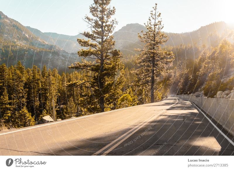 Road Near Emerald Bay and Lake Tahoe Vacation & Travel Tourism Summer Mountain Garden Environment Nature Tree Grass Leaf Park Forest Hill Building Architecture