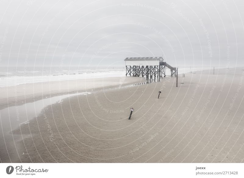 Happiness in the distance Weather Bad weather Wind Fog Coast Beach North Sea House (Residential Structure) Pile-dwelling Far-off places Tall Maritime Retro Wild