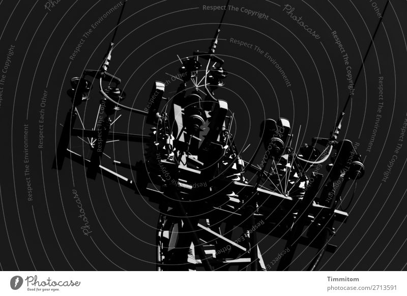 high voltage Technology Energy industry Metal Dark Glittering Cold Black White Emotions Electricity Electricity pylon High voltage power line