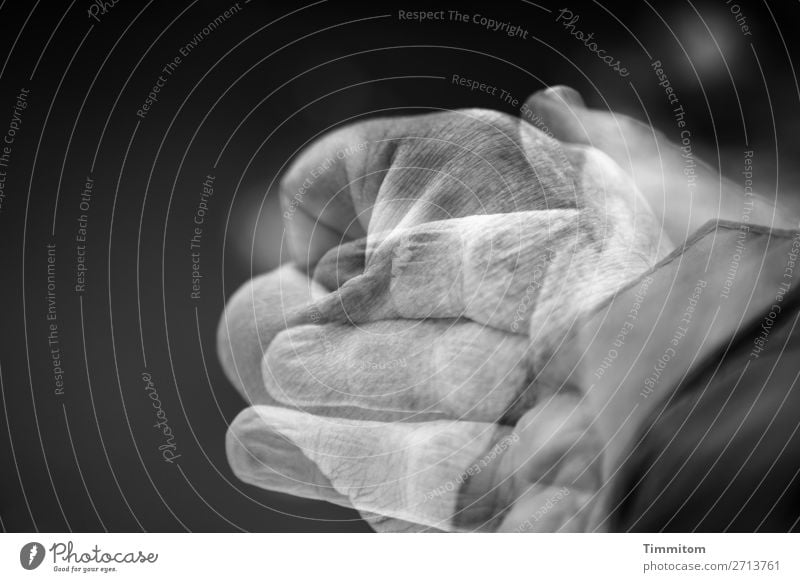 Hand becomes fist Fist 1 Human being Aggression Gray Black White Emotions Friendliness Animosity Reconciliation Threat Affection Cancelation Double exposure