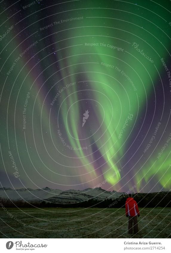 Northern lights in Iceland northern lights aurora iceland winter Exterior shot Aurora Borealis night Natural phenomenon astrology Vacation & Travel sky