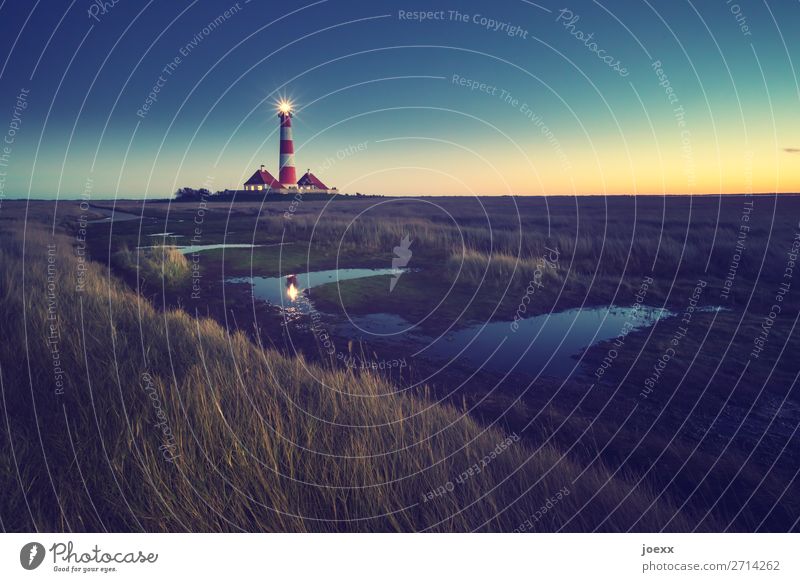 Westerhever Landscape Sky Horizon Beautiful weather Meadow Coast North Sea Westerhever lighthouse Deserted House (Residential Structure) Lighthouse Building Old