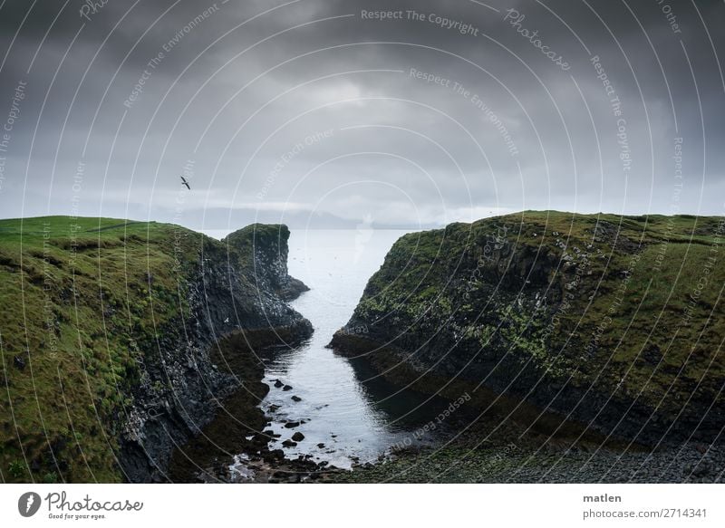 small natural harbour Landscape Water Sky Clouds Horizon Spring Bad weather Grass Meadow Rock Canyon Coast Beach Bay Fjord Ocean Dark Sharp-edged Maritime Gray