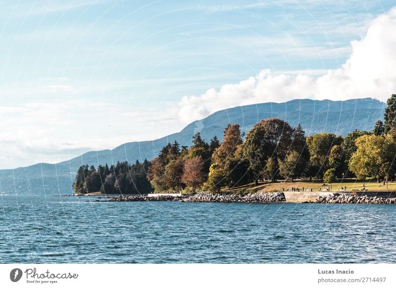 Stanley Park and the sea in Vancouver, Canada Summer Beach Ocean Environment Nature Sand Sky Tree Leaf Rock Coast Skyline Adventure Relaxation Vacation & Travel