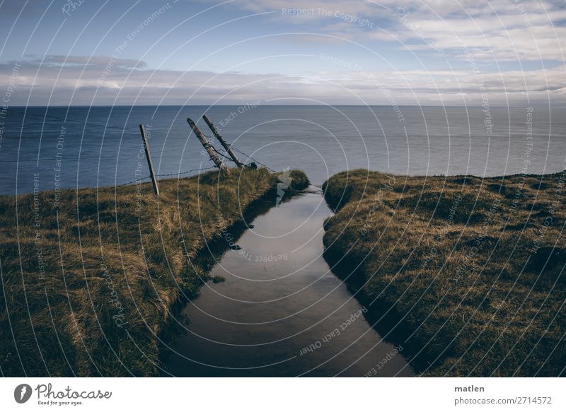 torrent Nature Landscape Plant Air Water Sky Clouds Horizon Spring Beautiful weather Grass Coast Ocean Brook Blue Brown Green Pink Iceland Cliff Crash