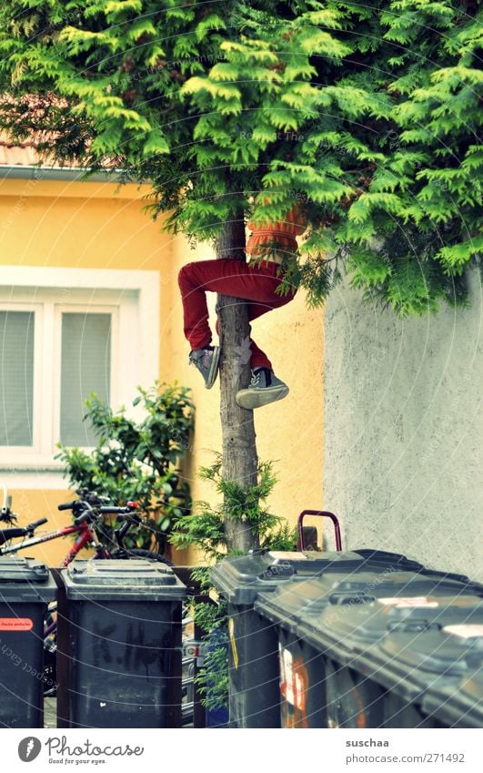 past the garbage cans ... Child Infancy Legs Feet 3 - 8 years Building Facade Concrete Joy Movement Tree Backyard Trash container Window Climbing Girl