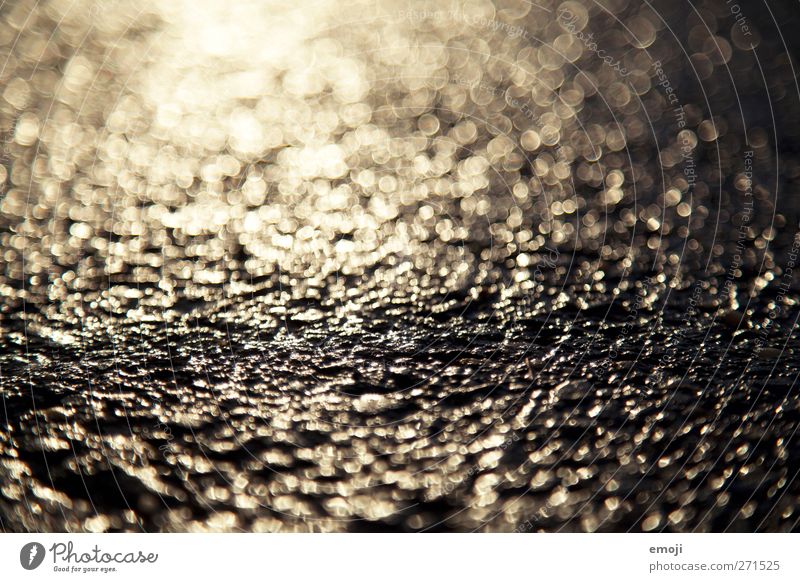 Wet Climate Climate change Rain Stone Concrete Gold Black Glittering Street Pavement Colour photo Exterior shot Detail Macro (Extreme close-up) Deserted Day