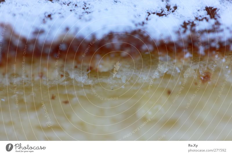 egg scorpion Cake Dessert Candy Delicious Juicy Edible Sweet Confectioner`s sugar Dough sheet cake Colour photo Blur Deep depth of field