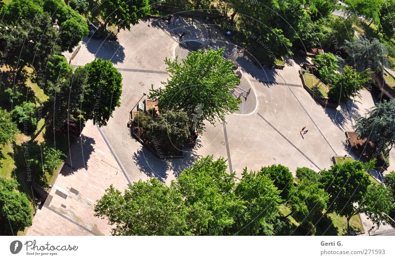 divine place Human being Beautiful weather Tree Bushes Park Cologne Town Concrete Relaxation Going Green Calm Empty Recreation area To go for a walk Middle