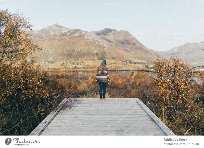 Woman on wooden pier at lake Jetty Lake Mountain Nature Vacation & Travel Youth (Young adults) Water Landscape Beautiful Forest Relaxation Vantage point Tourism