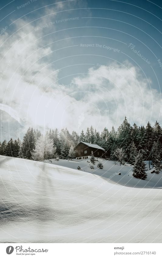 Arnisee XVI Environment Nature Landscape Winter Beautiful weather Snow Tree Mountain Lake Exceptional Natural Blue White Tourism Calm Lake Arnis Switzerland