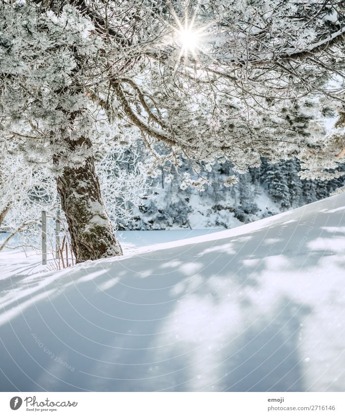 Lake Arnis VII Environment Nature Landscape Winter Beautiful weather Snow Tree Mountain Exceptional Natural Blue White Tourism Calm Switzerland Trip