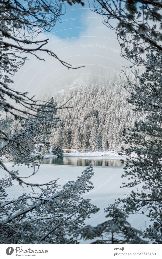 Arnisee VI Environment Nature Landscape Winter Beautiful weather Snow Tree Mountain Lake Exceptional Natural Blue White Tourism Calm Mountain lake Lake Arnis