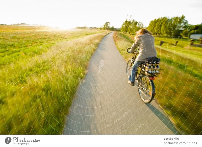 journey home Leisure and hobbies Trip Far-off places Cycling tour Summer Woman Adults Back Environment Nature Landscape Sky Horizon Meadow Baltic Sea Optimism