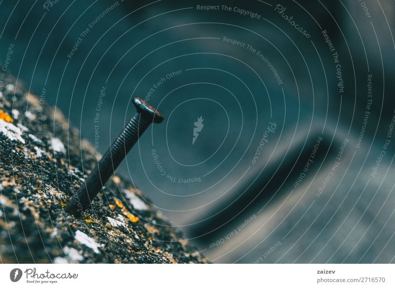 Detail of a nail stuck to a moldy stone rock nailed rusty must iron metal mildew mustiness clove spike texture macro closeup detail foreground diagonal