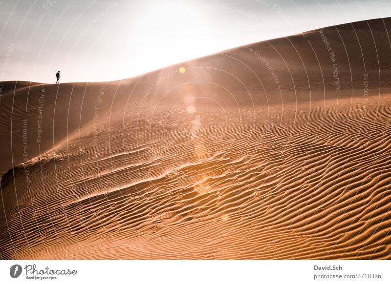 Dunes of Mui Ne Vacation & Travel Tourism Trip Far-off places Summer Human being Feminine 1 Landscape Sand Cloudless sky Sunlight Beautiful weather Desert