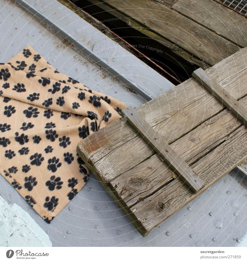 favourite spot on the jetty. Wood Steel Brown Gray dog blanket Paw Footbridge Plank Blanket Folded Tilt Cloth Cloth pattern Living or residing Hard Watercraft