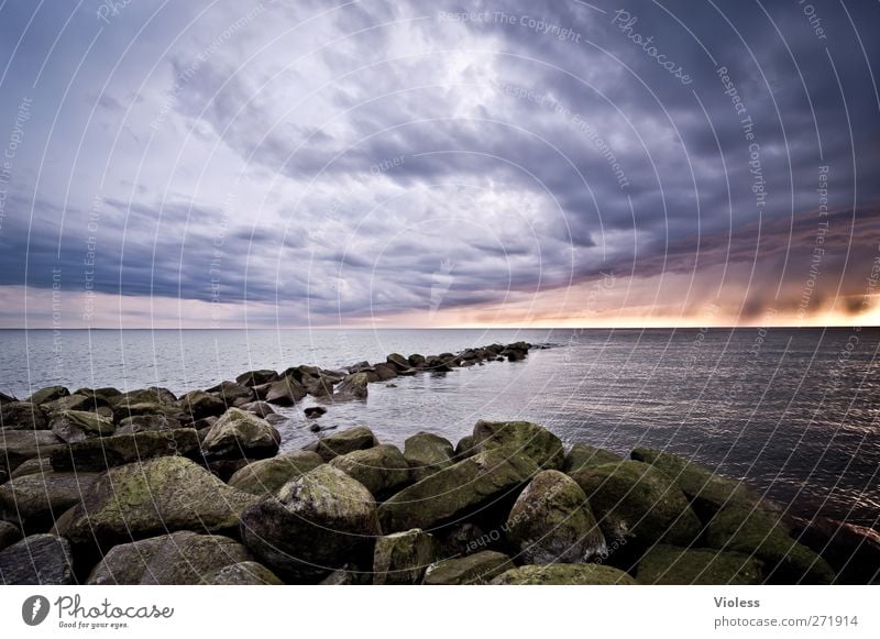 Hiddensee, find the way out. Nature Landscape Elements Sky Clouds Storm clouds Sunrise Sunset Spring Weather Rain Coast Baltic Sea Ocean Island Threat Moody