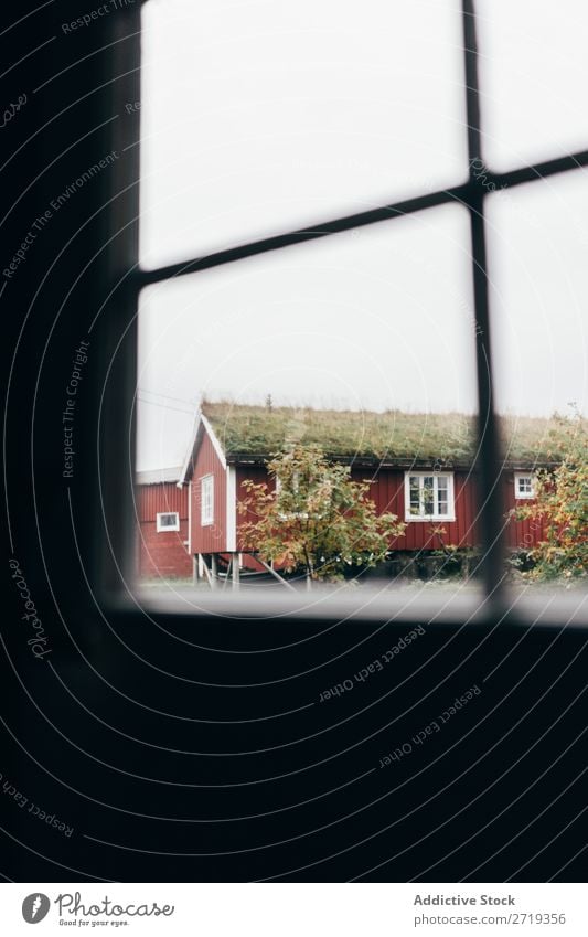 View of red house from window House (Residential Structure) Window Building Grass Roof Moss Cladding Red Rowan tree Village Sky Landscape Vantage point Calm