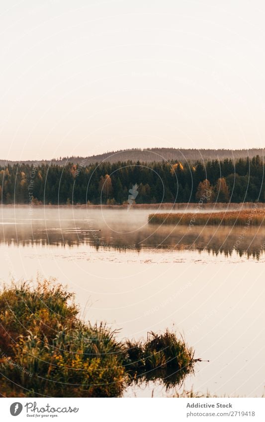 Morning fog drifting over lake Landscape Lake Autumn Haze silence tranquil Tourism Wonderful Nature Beauty Photography Sunlight Exterior shot Lakeside Mystery