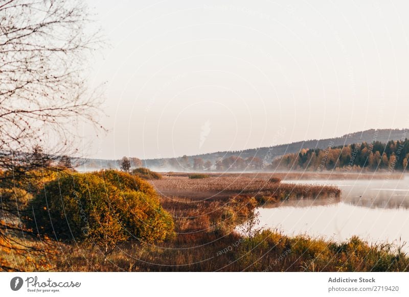 Morning fog drifting over lake Landscape Lake Autumn Haze silence tranquil Tourism Wonderful Nature Beauty Photography Sunlight Exterior shot Lakeside Mystery