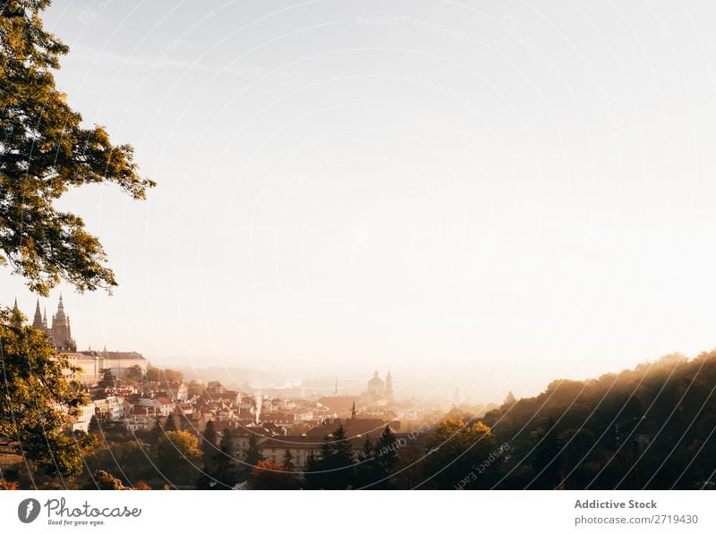 Morning haze above old city in autumn Skyline Haze Architecture Autumn City Destination Landscape Town Vacation & Travel Transport Perspective Atmosphere