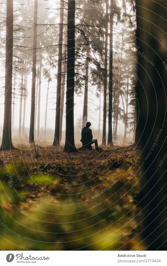 Traveler in dark foggy woods Forest traveler Mysterious Landscape Spooky Background picture Fog Nature Environment Natural Autumnal magical coniferous scenery