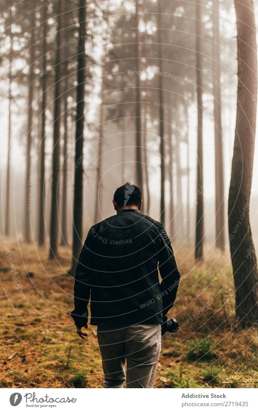 Traveler in dark foggy woods Forest traveler Mysterious Landscape Spooky Background picture Fog Nature Environment Natural Autumnal magical coniferous scenery