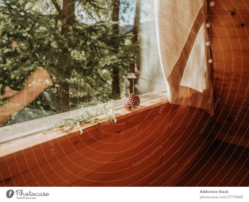 Pine cones and flowers on window sill Nature Windowsill Natural Spruce Design Sunlight Wood House (Residential Structure) Summer Terrace Style Remote Peace