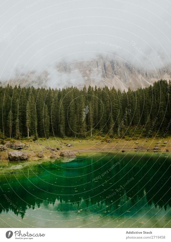 Landscape with ever-green trees in Dolomites, Italy coniferous Pond Mountain Reflection Evergreen Calm Mirror Pine Water Reservoir Lake Natural tranquil