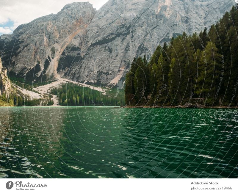 Amazing view of lake with woods Lake Mountain Serene Forest Water Evergreen coniferous Exterior shot Panorama (Format) Landscape scenery Tourism tranquil Tree