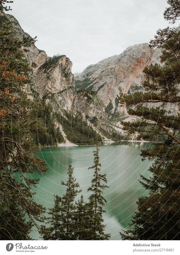 Mountain lake in coniferous trees Lake Reflection Landscape Rock Evergreen Calm Ripple Pine Water Reservoir Natural tranquil Environment Surface scenery Serene